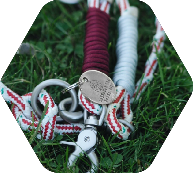 bracenet-product-wabe-00001